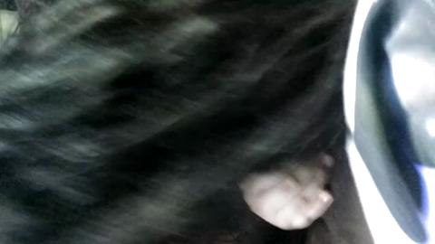 7585